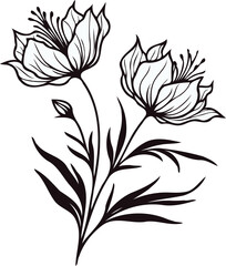PNG Hand drawn peony sketch, peonies buds flower, leaf, set of anemone flowers vector, illustration outline drawing, poppy botanical black and white line art, lineart leaves and stems in engraving