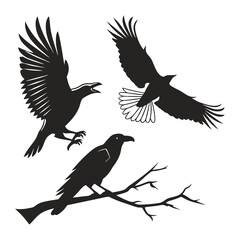 pigeon silhouette vector