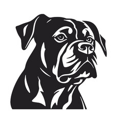 Fototapeta premium head of a boxer dog