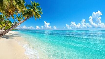 Tranquil beach scene with turquoise water, white sand, and leaning palm trees under a bright blue sky with fluffy clouds. Perfect summer vacation