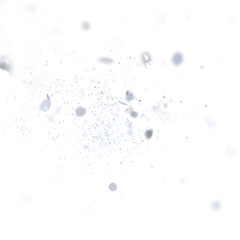 Abstract background with white dust and particles. Perfect for overlay or texture.