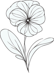 PNG Hand drawn pansies sketch, Violet Wittrock buds flower, leaf, set of  spring flowers vector, illustration outline drawing, botanical black and white line art, lineart leaves and stems in engraving