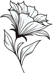 PNG, Hand drawn Morning Glory sketch, bluebell buds flower, leaf, set of bell flowers vector, illustration outline drawing, botanical black and white line art, lineart leaves and stems in engraving