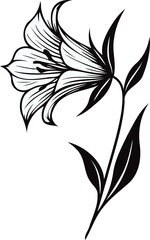 PNG, Hand drawn Morning Glory sketch, bluebell buds flower, leaf, set of bell flowers vector, illustration outline drawing, botanical black and white line art, lineart leaves and stems in engraving
