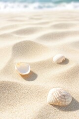close-up of shimmering sand with gentle wave patterns and seashells on beach under warm sun