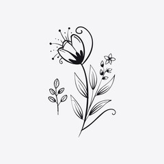 Floral Illustration Flower Line Art Elegant Botanical Drawing | Minimalist Hand-Drawn Bloom