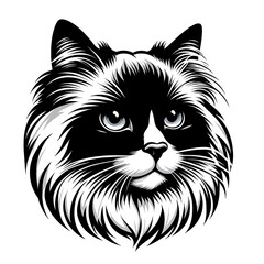 Black and white illustration of a Ragdoll cat's head, detailed fur, serious expression.