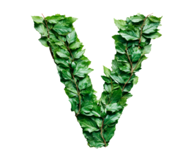 Letter M made with leaves isolated on transparent background