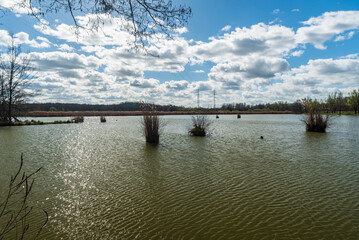 Obraz premium Pond with reeds in PR Rezavka near Ostrava city in Czech republic