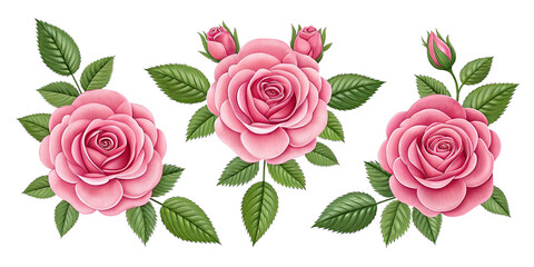 Naklejka premium Elegant Pink Roses with Lush Green Leaves – High-Quality PNG on Transparent Background Romantic Pink Roses Bouquet with Green Foliage – Isolated Floral Design for Digital Use