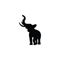 Elephant Silhouette