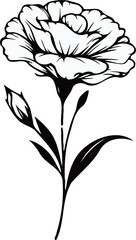 PNG, Hand drawn eustoma sketch, Eschscholzia buds flower, leaf, set of lisianthus flowers vector, illustration outline drawing, botanical black and white line art, lineart leaves and stems