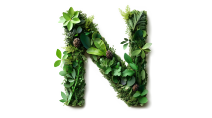 Font letter N formed by green leaves plant nature elements cutout isolated on transparent background, PNG