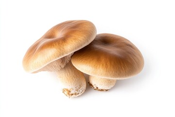 Fototapeta premium Brown mushrooms showcase smooth caps and delicate stems, perfect