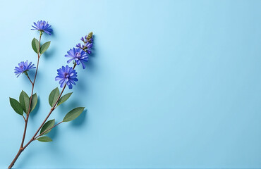 Fototapeta premium A Blue Banner Featuring A Mimosa Branch Is A Lovely Way To Celebrate Spring Holidays In Your Home Decor.