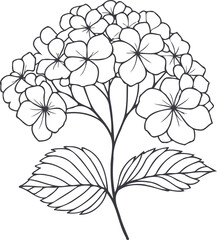 PNG set of contour spring flowers Geranium, 
line art floral drawing, outline leaves, 
black and white illustration Hydrangea, 
set of decorative elements of plants stylized Rhododendron