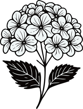 recommend clip art: PNG set of contour spring flowers Geranium, 
                    line art floral drawing, outline leaves, 
                    black and white illustration Hydrangea, 
                    set of decorative elements of plants stylized Rhododendron