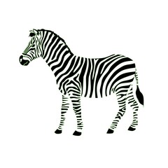 zebra vector illustration