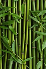Obraz premium A close-up view of green bamboo stalks and leaves, creating a lush, natural pattern that emphasizes the beauty of the plant.