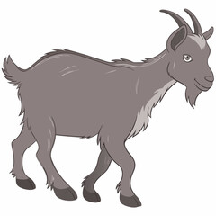 goat on white background