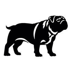 Obraz premium English bulldog vector