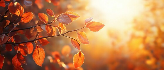 Vibrant Autumn Background with Fallen Leaves and Trees for Seasonal Designs