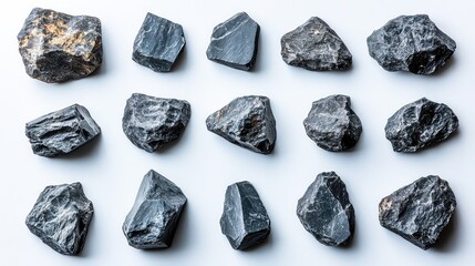 set of wooden tags isolated on white background