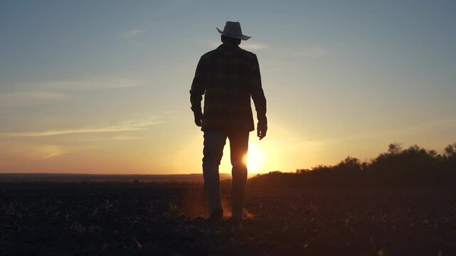 Agriculture. Silhouette of a farmer walking in the field. Landscape fresh harvest concept. Farmer walks through the soils. Silhouette of farmer walking lifestyle through the field in soild soil.