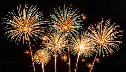 Obraz premium Colorful fireworks bursting in night sky, celebration of New Year