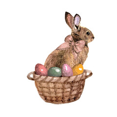 Freehand watercolor illustration Easter bunny isolated on white background. Hand drawn watercolour brown rabbit, easter eggs in basket, spring bunny cute fluffy pet, farmhouse animal.