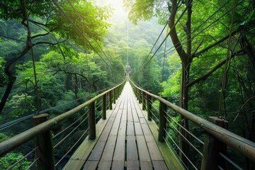 Bird's eye view a thrilling jungle zipline experience and cultural travel guide