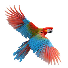 Obraz premium A colorful parrot with blue, red, and green feathers is flying in the air. The bird's wingspan is wide, and it is soaring high above a white background