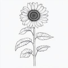 Fototapeta premium black and white flower