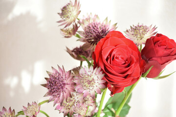 薔薇とアストランチア