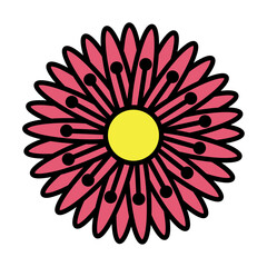 Vector image of a colorful flower icon with white background