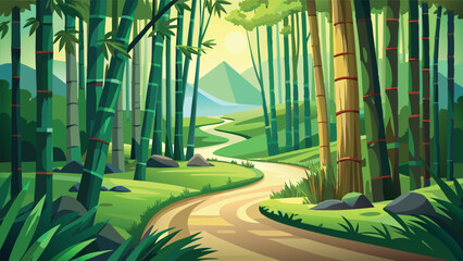 bamboo forest in the morning