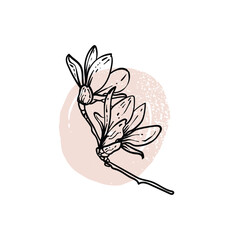 Hand drawn line art magnolia. Vector illustration of spring flowers. Elegant doodle of beautiful flowers on pastel beige sketched background. Graphic assets for print and online designs.