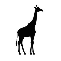 giraffe silhouette isolated on white