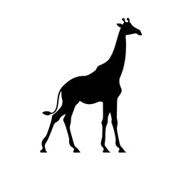 giraffe silhouette isolated on white