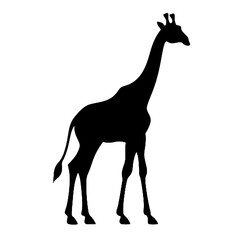 Fototapeta premium giraffe silhouette isolated on white