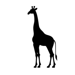 giraffe silhouette vector