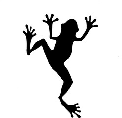 silhouette of a frog jumping