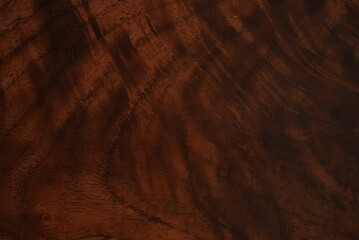 Fototapeta premium wood texture background