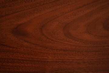 wood texture background