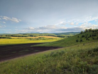 Summer. Nature. Siberian expanses.