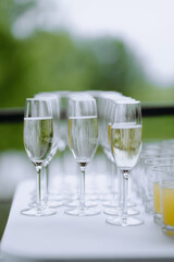 Elegant Display of Champagne Glasses for a Celebratory Event