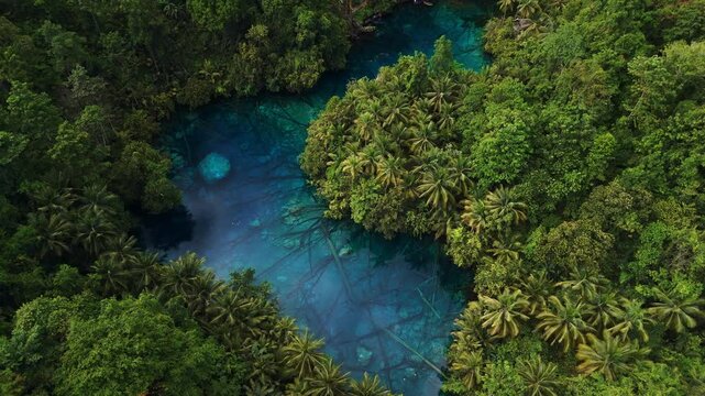 Paisupok lake with crystal blue water in tropical forest, Sulawesi, Indonesia, drone view