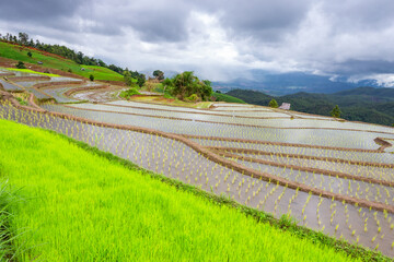 Green rice terraces at Ban Pa Bong Piang and farmer's huts at the beginning of the mid-year rice planting season in Mae Chaem District, Chiang Mai