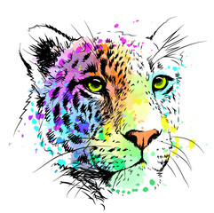 Abstract, sketch, color portrait of a leopard in watercolor style.