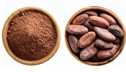 cocoa beans cocoa mass cocoa powder in wooden bowl isolated on white background top view